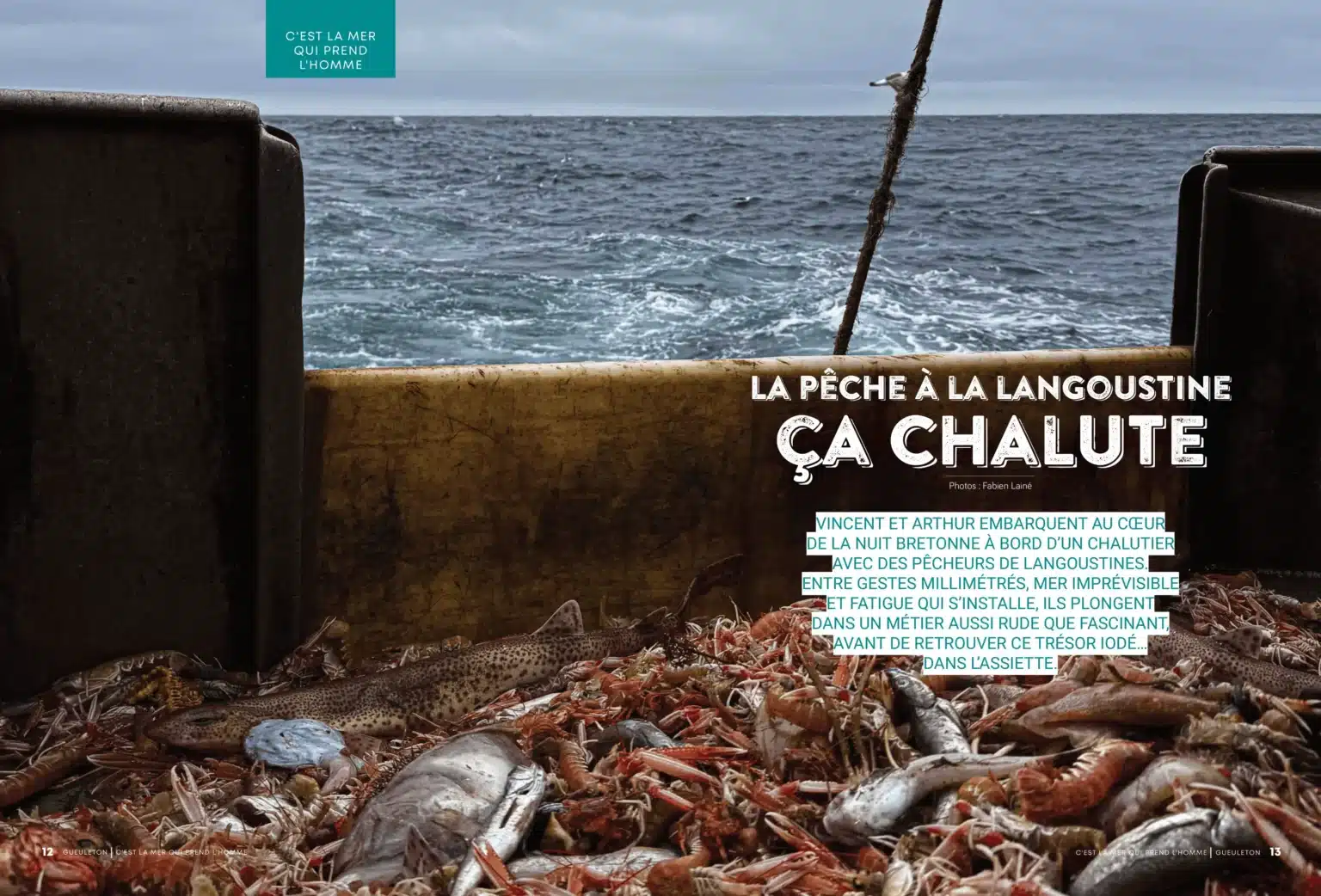 Reportage sur la pêche à la langoustine à bord d'un chalutier breton, Gueuleton n°23