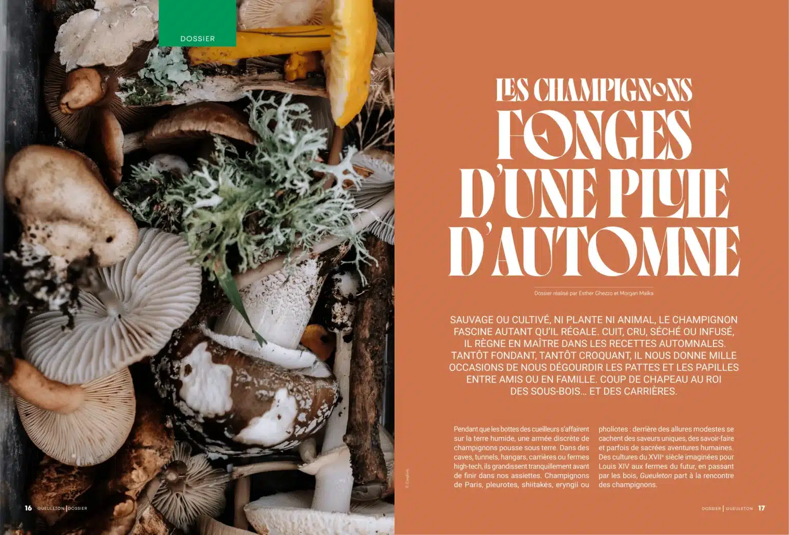 Ouverture du dossier champignons « Fonges d'une pluie d'automne », Gueuleton n°24